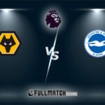 Live Wolves vs Brighton 10 May 2025
