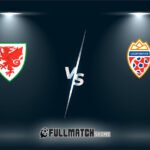 Liechtenstein vs Wales 15 Nov 2025