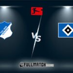 Hamburger SV vs Hoffenheim Full Match Replay